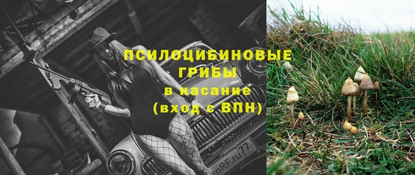 стаф Алексеевка