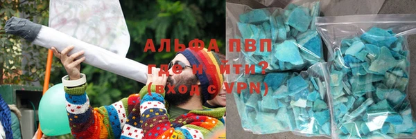 стаф Алексин