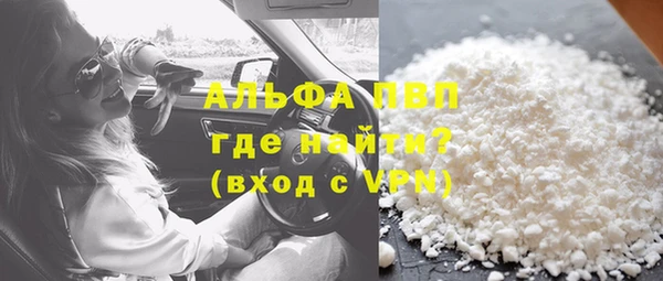 стаф Алексин