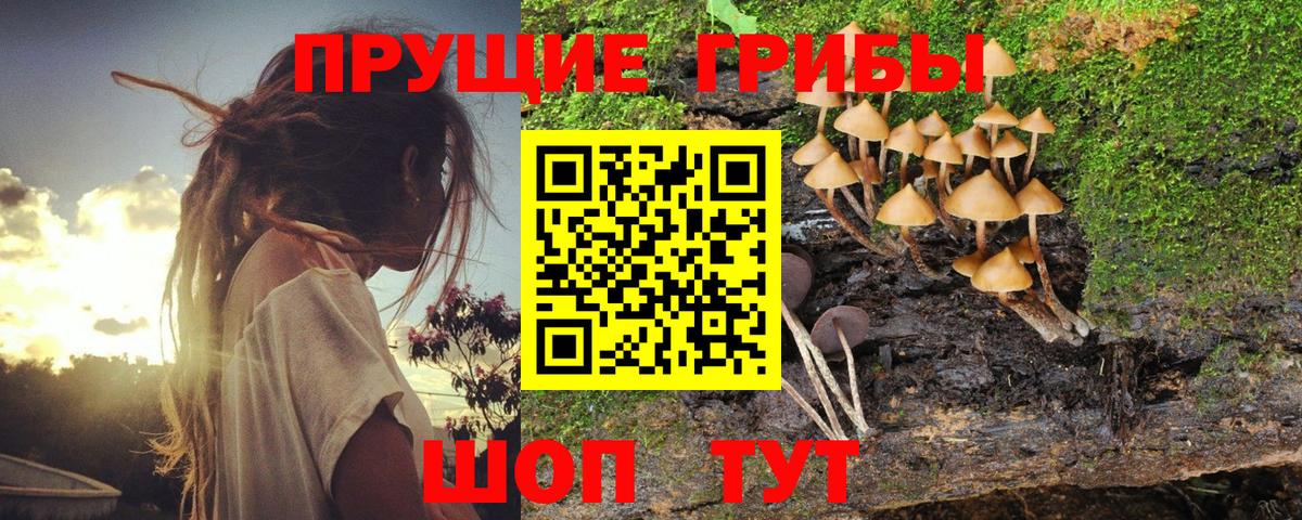 Галлюциногенные грибы прущие грибы  Вход с VPN  Галлюциногенные грибы мухоморы  Казань 