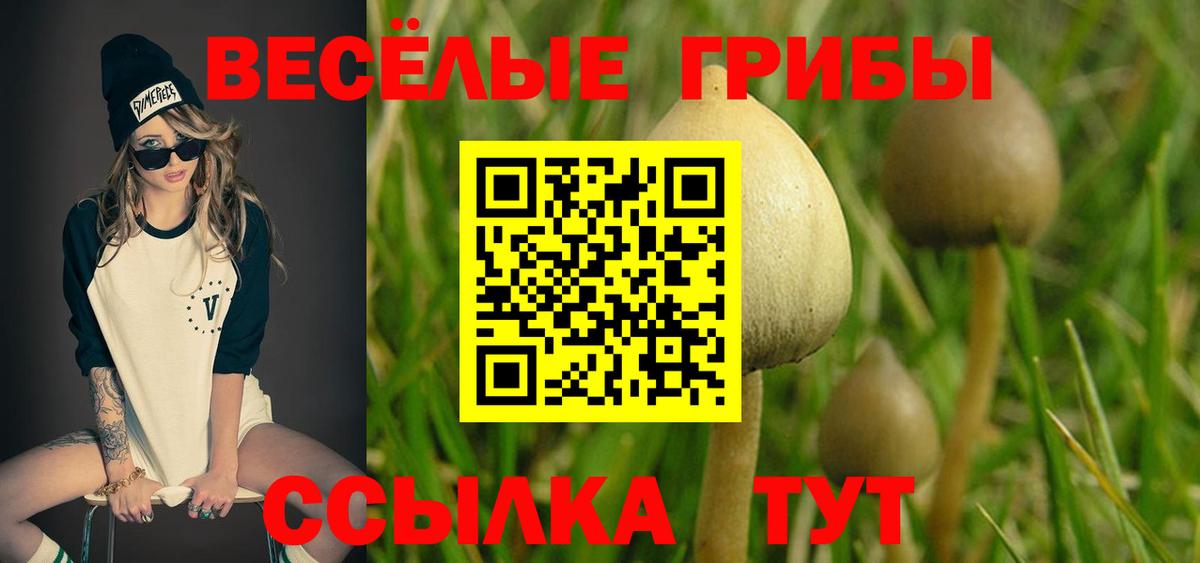 Галлюциногенные грибы мухоморы Казань